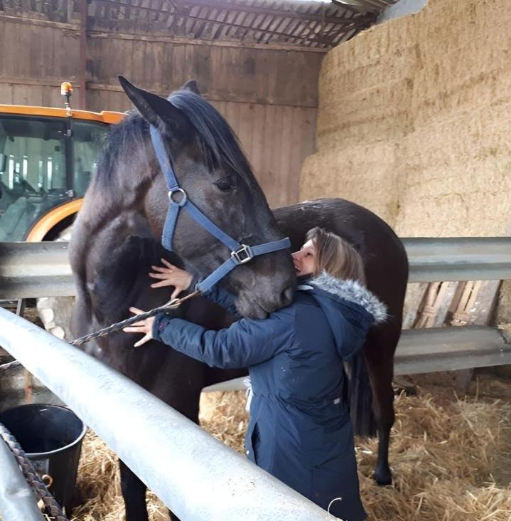 Shiatsu canin et équin Nouvelle-Aquitaine